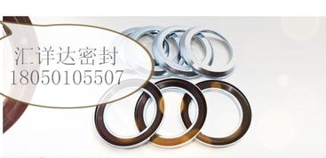 【德國(guó)進(jìn)口cfw/babsl油封型號(hào)表,42423價(jià)格,圖片,配件廠家】