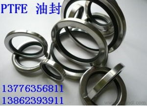 供應(yīng)蘇州進(jìn)口ptfe骨架油封 摩擦小 抗干磨價(jià)格 廠家 圖片