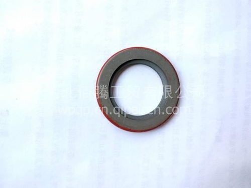 進口油封水泵油封3003353 價格、圖片與配件廠家全解析